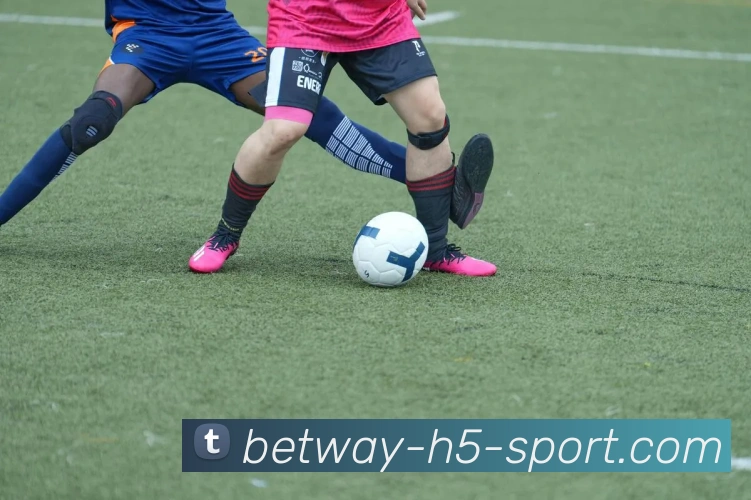 足球报透露韩鹏将继续执教泰山队球队计划更换两名中后场外援